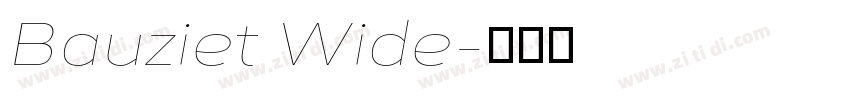 Bauziet Wide字体转换